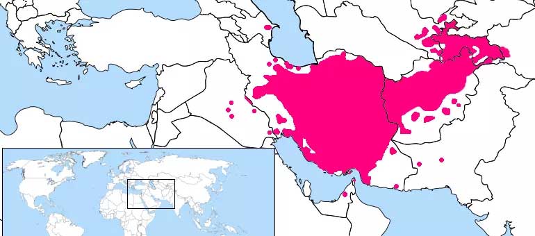 The History behind Persian Language