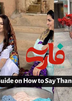 Learner's Guide on How to Say Thank You in Farsi